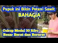Lagu Pupuk Sawit Murah Namun Dampaknya Luar Biasa - Kelapa  Sawit