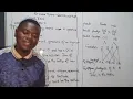 2023 Biology Genetics ECZ P2 Crossing Recessive allele phenotype