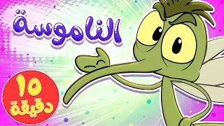 Marah Tv قناة مرح أغنية الناموسة ومجموعة اغاني الاطفال 