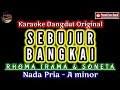 Lagu SEBUJUR BANGKAI KARAOKE NADA PRIA RHOMA IRAMA_KARAOKE DANGDUT