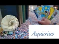 Aquarius August 2026 MAJOR LEVEL UP You Want It You Got It Aquarius LOVE CAREER