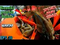 Download Lagu BUBU PENUH DENGAN IKAN MAHAL GENG...TROLLING DAPAT IKAN TONGKOL #EPS30#