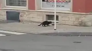 تغيرت الأحوال 