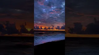 فيديوهات طبيعة Blackscreen Explore فيديو فيديوهات 