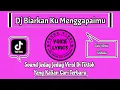 Download Lagu Dj Biarkan Ku Menggapaimu || Sound Jedag Jedug Viral Di Tiktok Yang Kalian Cari