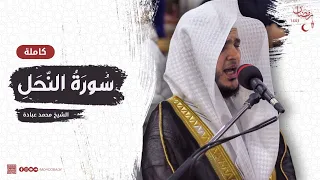 سورة النحل كاملة صلاة القيام رمضان الشارقة 1443 الشيخ محمد عبادة 