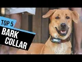 5 Best Bark Collar Amazon Reviews