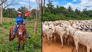 MINHA MÃE VIROU VAQUEIRA DA FAZENDA! 😱