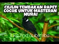 Download Lagu MASTERAN CILILIN TEMBAKAN RAPET COCOK UNTUK MURAI BATU