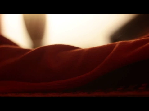 Selva Naranja // Teaser #2