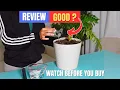 Plant Self Watering Globes