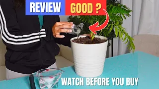 Plant Self Watering Globes