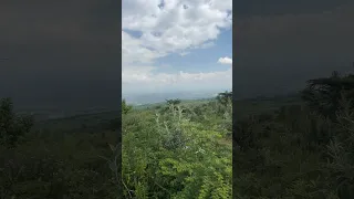 صوت عصافير و صوت هواء في أعلى الجبل 