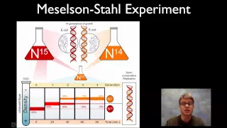 Download Meselson-Stahl Experiment MP3