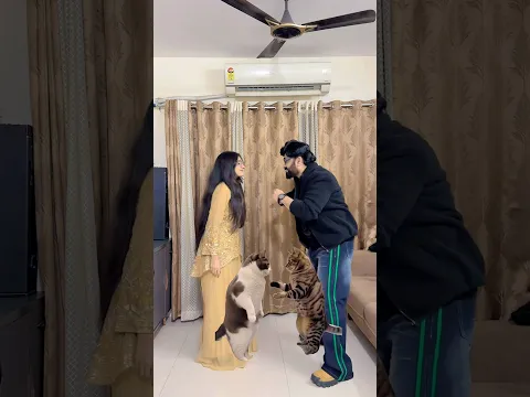 Cat Dance😹 #shahidalyofficial #fatherdaughter #shorts