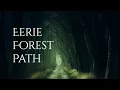 Download Lagu EERIE FOREST PATH Ambience and music | dark forest ambience with atmospheric music #ambientmusic