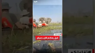 تفاعلكم شاهد فيل غاضب يهاجم قارب سياح ويقلبه  تفاعلكم شاهد فيل غاضب يهاجم قارب سياح ويقلبه