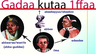 Gadaa Kutaa 1ffaa Boqonnaa 3ffaafi 4 5 6 