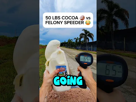 Throwing COCOA POWDER 🍫 at FELONY SPEEDER in School Zone 😂🤬