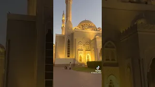 سورة الحجرات انا خلقناكم من ذكر وانثي  القرآن الكريم القارئ احمد نصر  تلاوة خاشعة  راحة نفسية دندنها