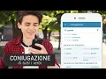 Reverso App - Traduzioni Sinonimi Coniugazione