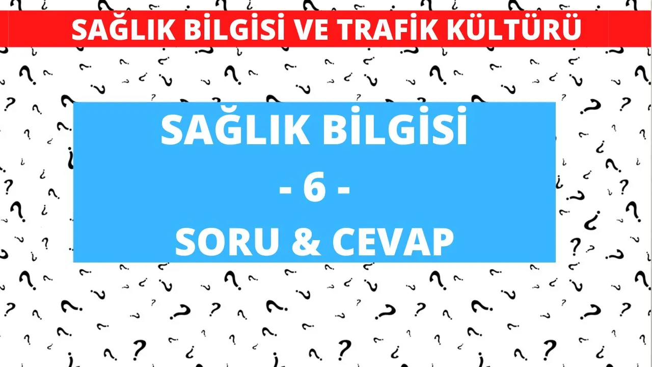 9.Sınıf Sağlık Bilgisi ve Trafik Kültürü 1.Dönem 1.Yazılı ( Ertelenen Yazılı )