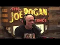 JOE ROGAN ON ZYNS AND CALIFORNIA