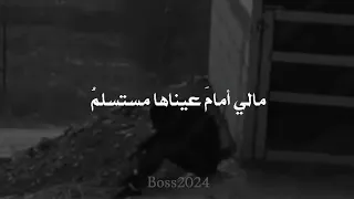 لو ك نت أعلم أن الحلم يجمعنا لأغمضت طول الدهر اجفاني أبيات شعرية 