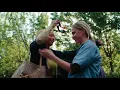 Bee and Sophie kiss Bodies Bodies Bodies