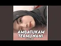 Download Lagu Ambatukam Termuwani