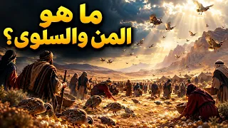 ما هو المن والسلوى  الطعام العجيب الذي أنزله الله على بني إسرائيل دندنها