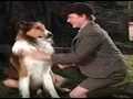 Download Lagu Lassie Come Home