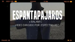 Balam C ESPANTAPAJAROS 