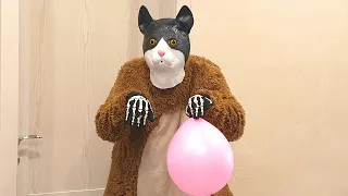 Big cat dog and chicken bring balloon to the dog + The dog's reaction