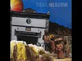 Dead Meadow - The Nothing They Need (2018) (New Full Album)