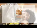 【中日羅歌詞】『猫』/ DISH// （北村匠海）｜『neko』/ DISH//（Kitamura Takumi）