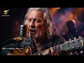 TEGAR - ROSSA || COVER SOULFUL BLUES