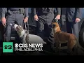 South Jersey residents outraged after two K9 officers die It broke my heart