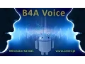 B4A Voice recognition Text To Speech