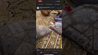 مدحة موريتانية زينه دندنها