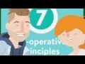 HAPO What is a Credit Union It s A Money Thing Financial Education