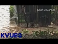 Feral hog injures Austin animal control officer KVUE