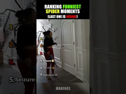 Ranking Funniest Spider Moments!