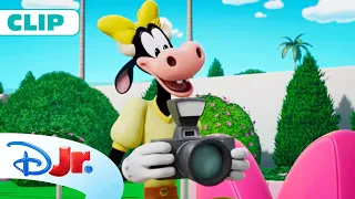 📸 Ședința foto cu animale de companie | Desene cu buticul lui Minnie [CLIP] | Disney Junior România