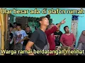 Download Lagu HEBOH EVAKUASI MALAM-MALAM ULAR BESAR DI PLAFON RUMAH WARGA KOK  BISA NAIK KE ATAS YA..?