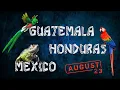 Download Lagu Guatemala, Honduras \u0026 Mexico - \