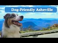 Dog-Friendly Asheville Your Ultimate Guide