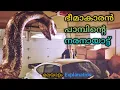 PYTHON 2000 Movie Explained in Malayalam Horror Sci-fi Mallu Movie Talks
