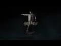 Harry Potter Life Size figure with silicon head