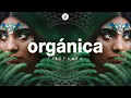 Download Lagu ORGANICA MIX | Finest Organic \u0026 Ethno Deep House Music | Dj Mix by Marga Sol